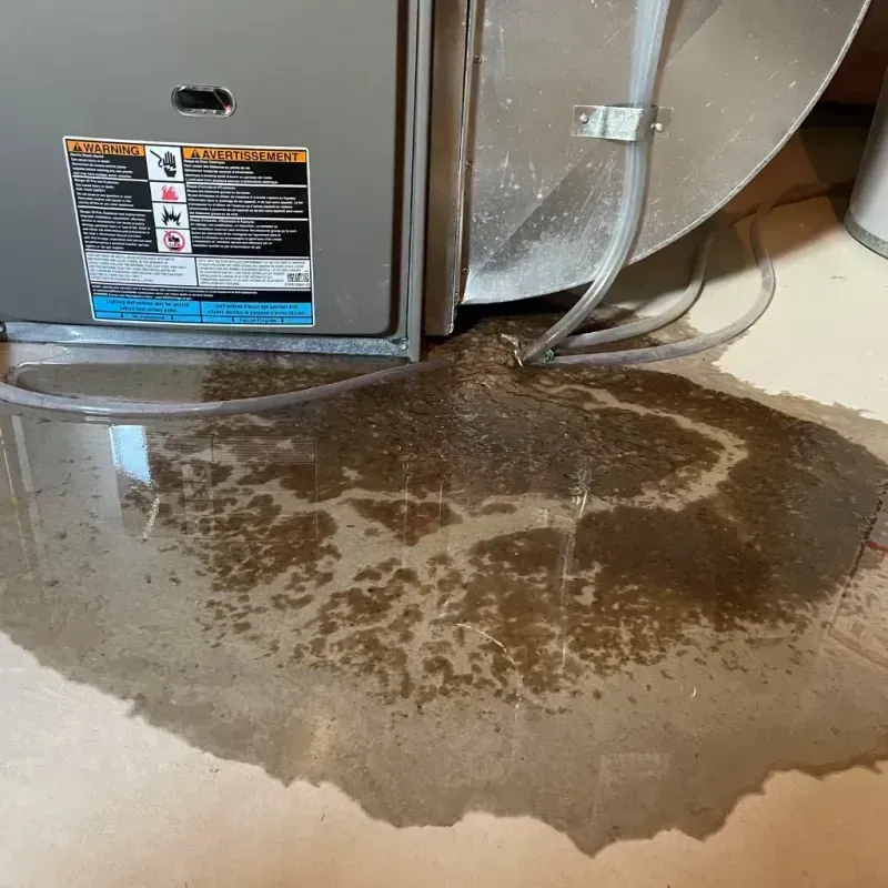 Appliance Leak Cleanup in Baxter, TN